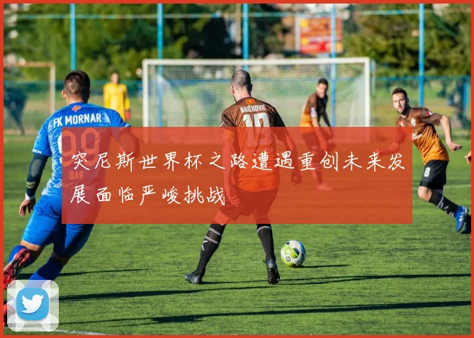 突尼斯世界杯之路遭遇重创未来发展面临严峻挑战